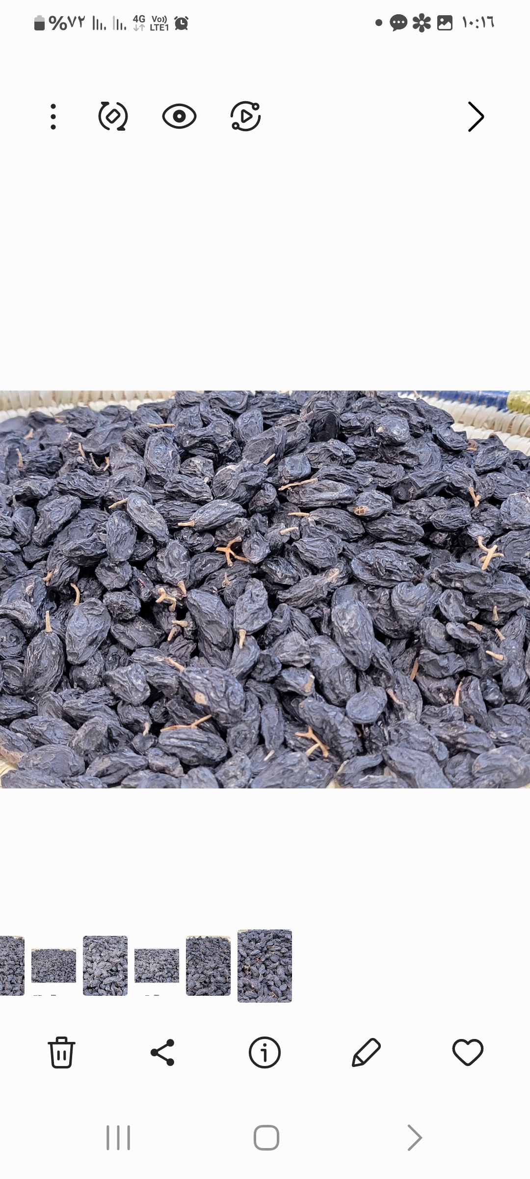 زبيب اسود حبة كبير