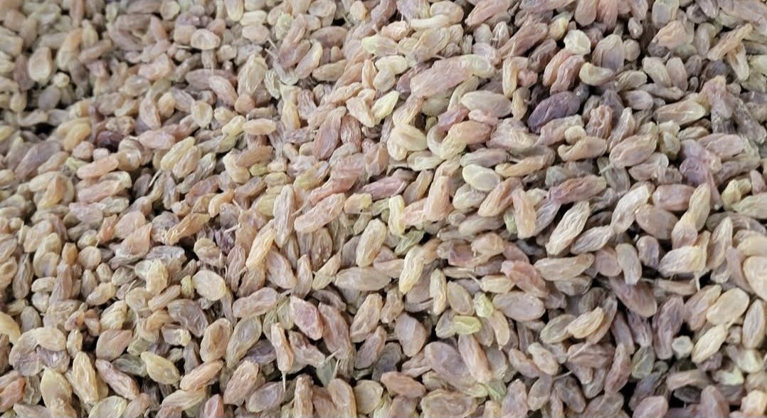 زبيب رازقي بلدي ٣